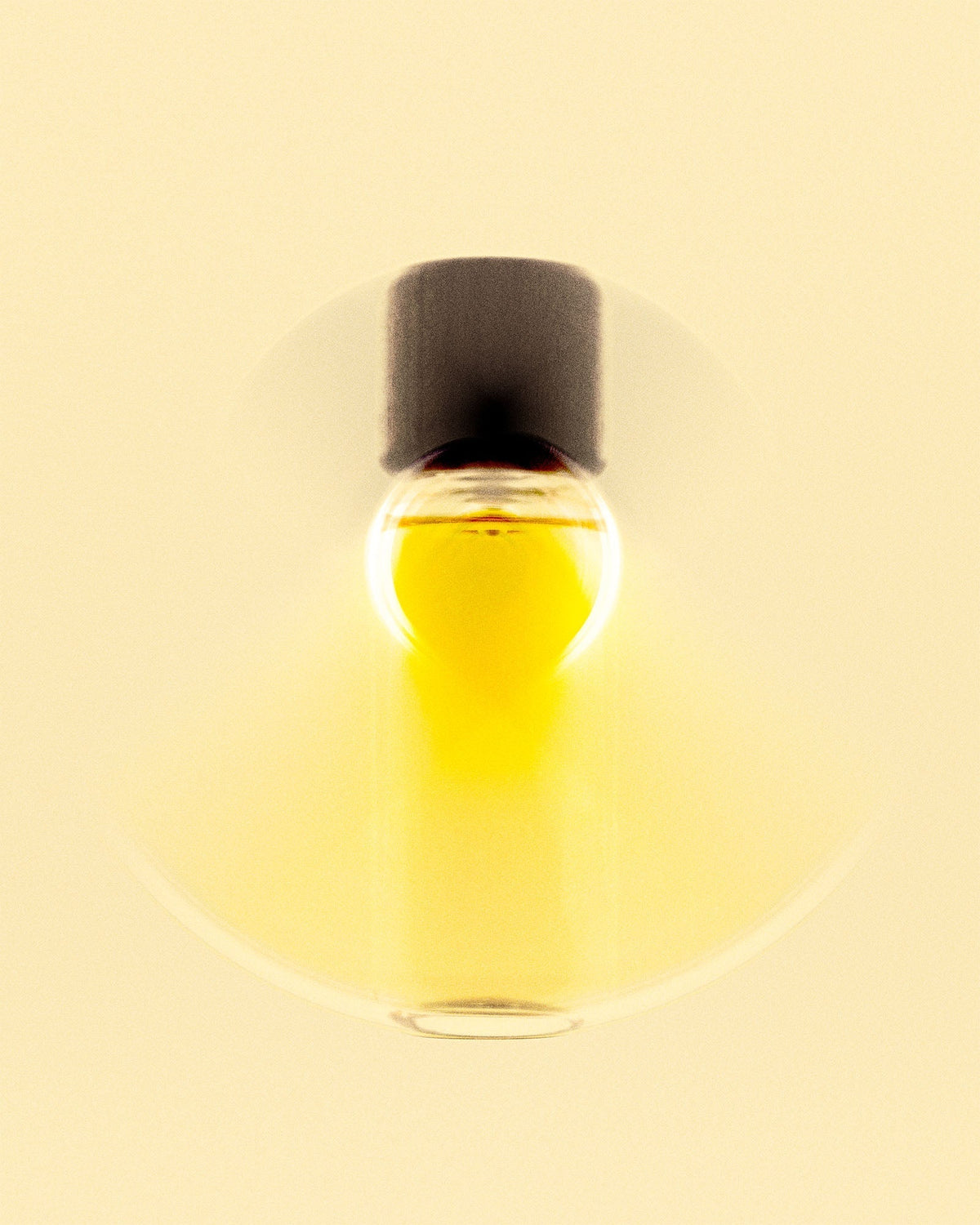 Grano 麦